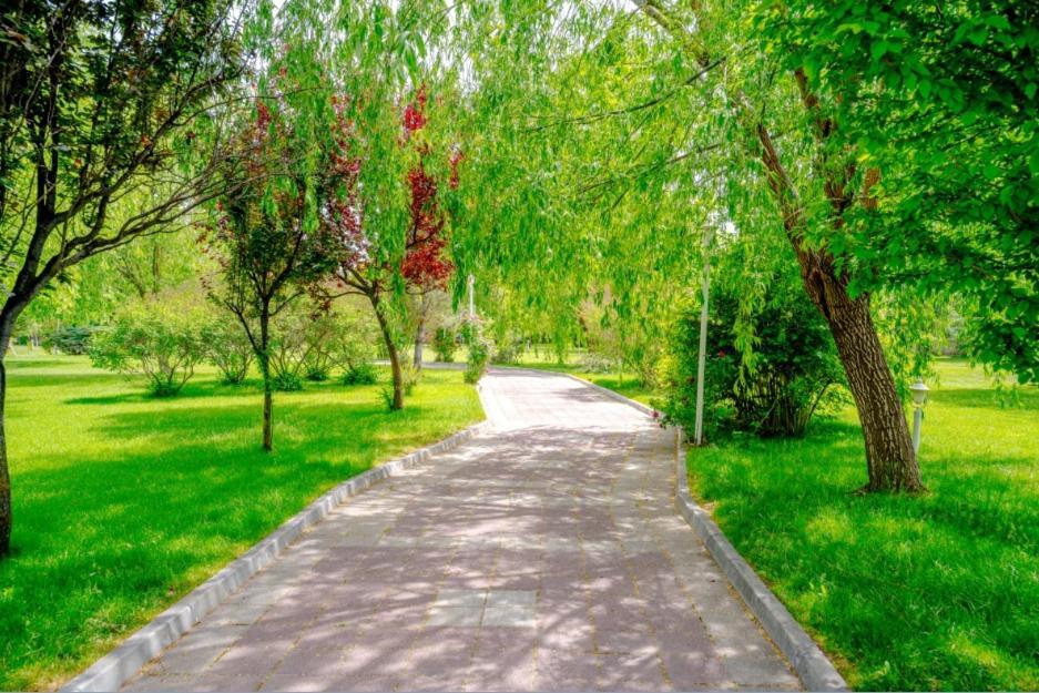 Korel Thermal Resort Афьон Экстерьер фото